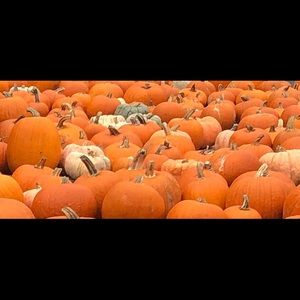 Meet your Posher, Joe